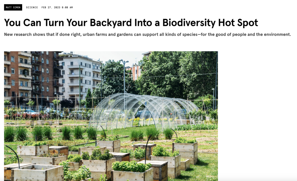 Image of Wired.com story "ou Can Turn Your Backyard Into a Biodiversity Hot Spot"