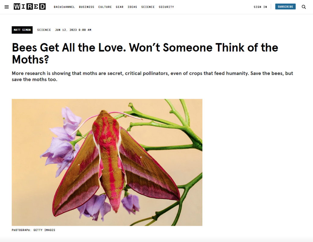 Wired.com screenshot of a web page with a picture of moth on it.
